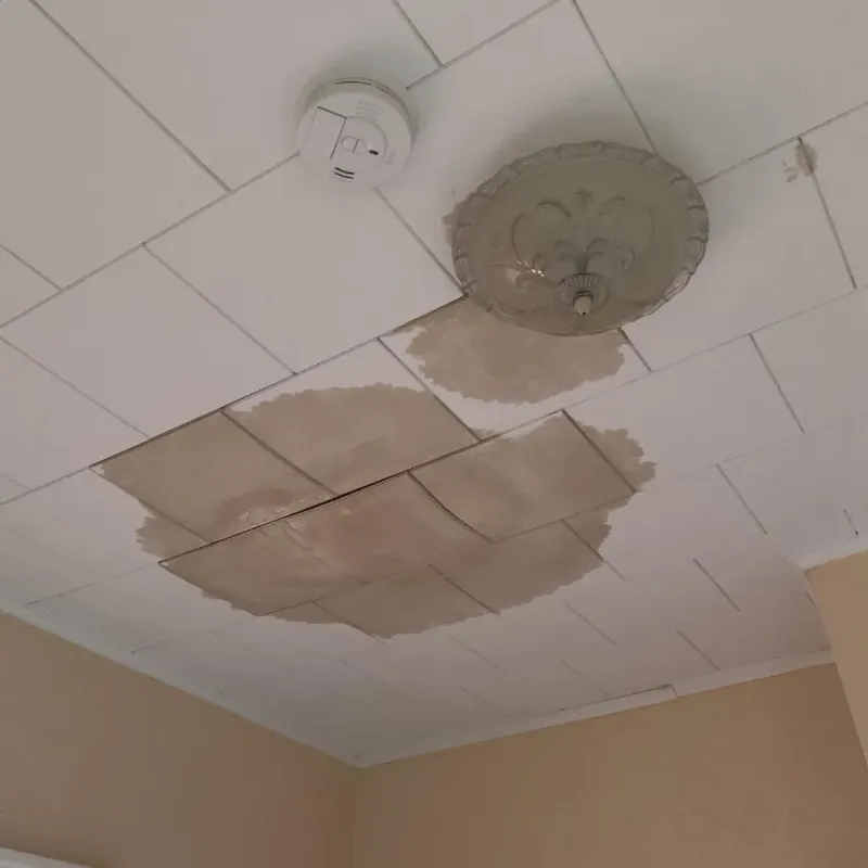 Ceiling Water Damage Repair in Lumberton, MS