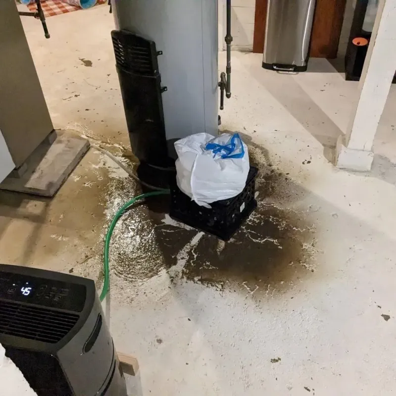 Sewage Backup Cleanup Service in Lumberton, MS